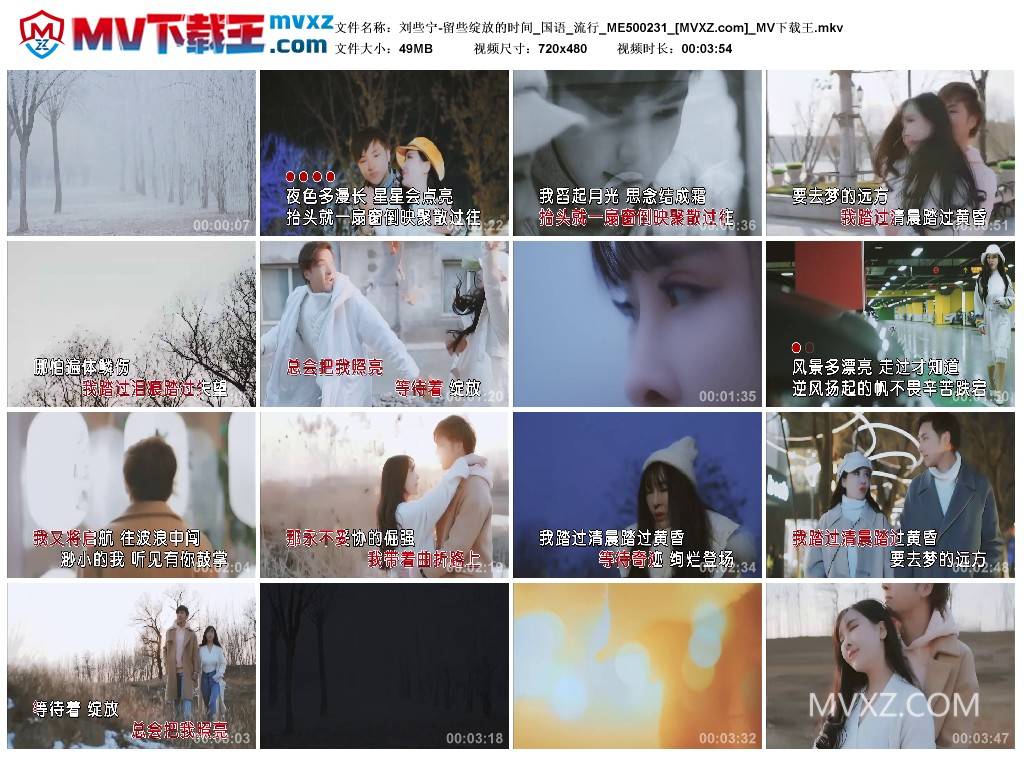 刘些宁-留些绽放的时间_国语_流行_ME500231